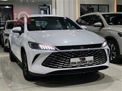 بی وای دی Qin Plus